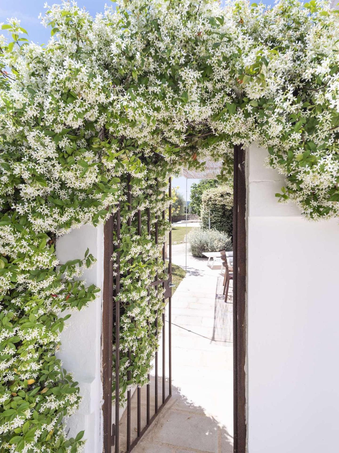 Masseria Alchimia Fasano Buitenkant foto